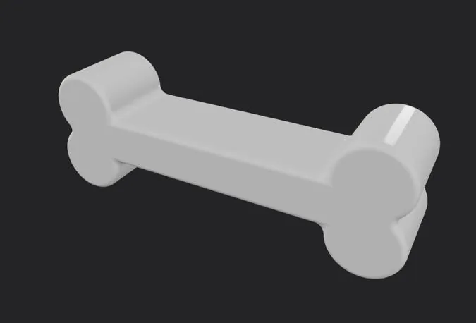 Render of the bone test object